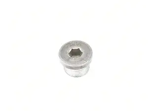 Engine Oil Drain Plug - Priced Each