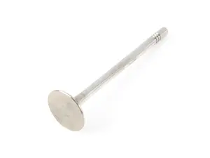 Intake Valve - Priced Each