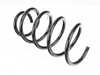 ES#2573072 - 31339806805 - FRONT COIL SPRING - Genuine MINI - 
