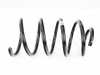 ES#2573072 - 31339806805 - FRONT COIL SPRING - Genuine MINI - 