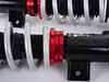 ES#4500894 - 002419LA01 - ECS Performance Adjustable Coilover System - R55/R56/R57/R58/R59 Gen 2 MINI - Dial in your suspension with 32 way adjustable damping coilovers to improve the Performance, and Style of your MINI! - ECS - MINI