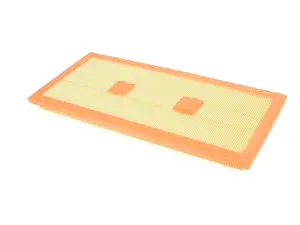 Engine Air Filter