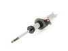 ES#2590018 - 31312284045 - Left Front Spring Strut - Genuine BMW - BMW