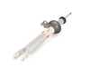 ES#2590018 - 31312284045 - Left Front Spring Strut - Genuine BMW - BMW