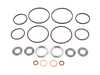 ES#4493084 - RGDVNSSRK - Race German Dual Vanos Rebuild Seal And Rattle Kit - Eliminate VANOS issues or stop them before they happen! - Race German - BMW
