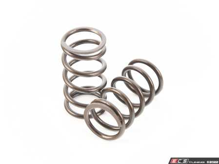 ES#4485275 - PAC-I92009 - Cat Cams Competition Valve Spring - Priced Each - Required for utilizing a race cam safely. - Cat Cams - BMW