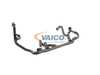 ES#4609904 - 17127548224 - Lower Coolant Hose Assembly - Located across the front of the engine bay - Connects to the expansion tank, thermostat, and Heater Core return line - Vaico - BMW