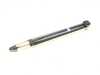 ES#2892244 - 8E0513036AE - Shock Absorber - Vaico - Audi