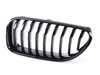 ES#2859708 - 51712287953 - TRIM GRILL, HIGH-GLOSS BLACK - Genuine BMW - BMW