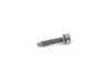 ES#3198132 - 07129905493 - TORX SCREW - Genuine BMW - 