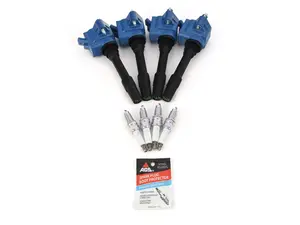Performance Ignition Service Kit