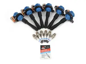 Performance Ignition Service Kit