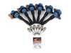 ES#4608636 - D650-0007KT1 - Ignition Service Kit - Everything you need to service your ignition system, featuring Dinan performance ignition coils in blue! - Dinan - BMW
