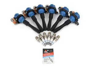 Ignition Service Kit