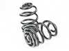 ES#3427343 - e46m3rspringsKT - Rear Spring Replacement Kit - Includes new springs and spring pads - Assembled By ECS - BMW