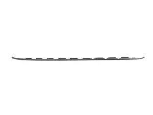 Roof Molding / Rain Gutter - Left