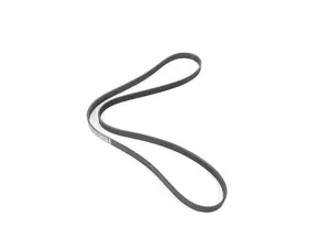 Accessory Belt