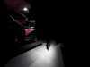 ES#2215322 - 335DOOR - LED Puddle Light Kit - Transform the lighting outside of your door with new LED bulbs from Ziza - ZiZa - BMW