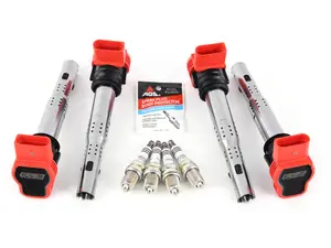 Performance Ignition Service Kit