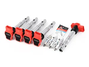Performance Ignition Service Kit