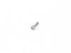 ES#2590526 - 61257621147 - TORX SCREW - Genuine BMW - BMW