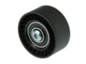 Acc. Belt Idler Pulley W/ Bolt