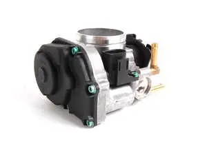 Throttle Body Assembly