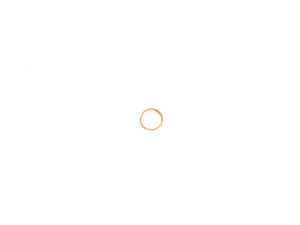 ES#257535 - 07119963308 - Oil Drain Plug Gasket - Should be changed each time the oil is changed - Victor Reinz - BMW