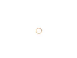 Oil Drain Plug Gasket