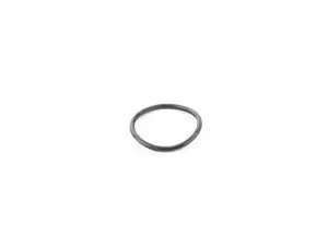 Thermostat O-Ring