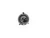 ES#2734838 - 07119907149 - H4 Bulb - Priced Each  - Dual filament hi/lo bulb used in the halogen headlight - Genuine MINI - MINI