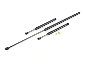 Hood And Trunk Strut Kit