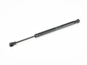 Trunk Strut