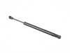 ES#3195595 - 8K5827919AA - Trunk Strut - Keep your trunk lid up and held in place - Febi - Audi