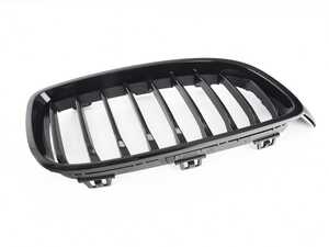 ES#4618667 - 51135A3D028 - GRILLE, FRONT, RIGHT - Genuine BMW - BMW
