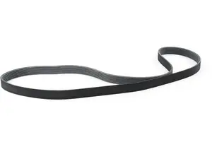 Accessory Belt