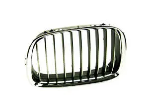 Kidney Grille - Left