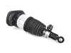 ES#4185197 - 37106869048 - Air Spring Strut -  Rear Right - Vdc - Genuine BMW - BMW