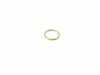 ES#3364966 - WHT006113 - O-RING - Genuine Porsche - 