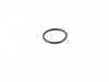 ES#4179823 - 11538674931 - O-RING - Genuine BMW - BMW