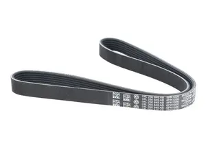 Accessory Belt