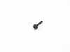 ES#2728471 - 07149250688 - FILLISTER HEAD SCREW - Genuine BMW - BMW