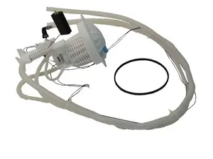 Fuel Sending Unit And Filter Assembly