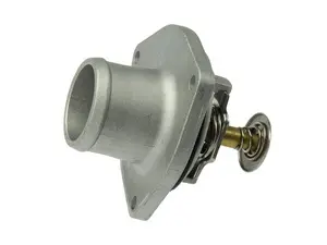 Thermostat Assembly