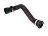 ES#38390 - 17127526616 - Radiator Hose - Lower - Connects the radiator to the water pump  - Genuine BMW - BMW