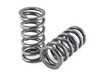 ES#3638723 - Racespring800 - 800lbs Race Spring - Pair  - (NO LONGER AVAILABLE) - AST Suspension  - 