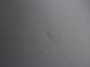 ES#4643103 - 41007268905sd - Genuine Hood - (NO LONGER AVAILABLE) *Scratch And Dent* - Primed and ready for paint - Scratch & Dent - 