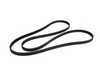 ES#2538585 - 99919238050 - Accessory Belt (2950 MM) - Accessory drive belt - Continental - Porsche