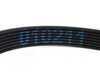 ES#2538585 - 99919238050 - Accessory Belt (2950 MM) - Accessory drive belt - Continental - Porsche