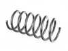 ES#50677 - 31332226199 - COIL SPRING - Genuine BMW - BMW